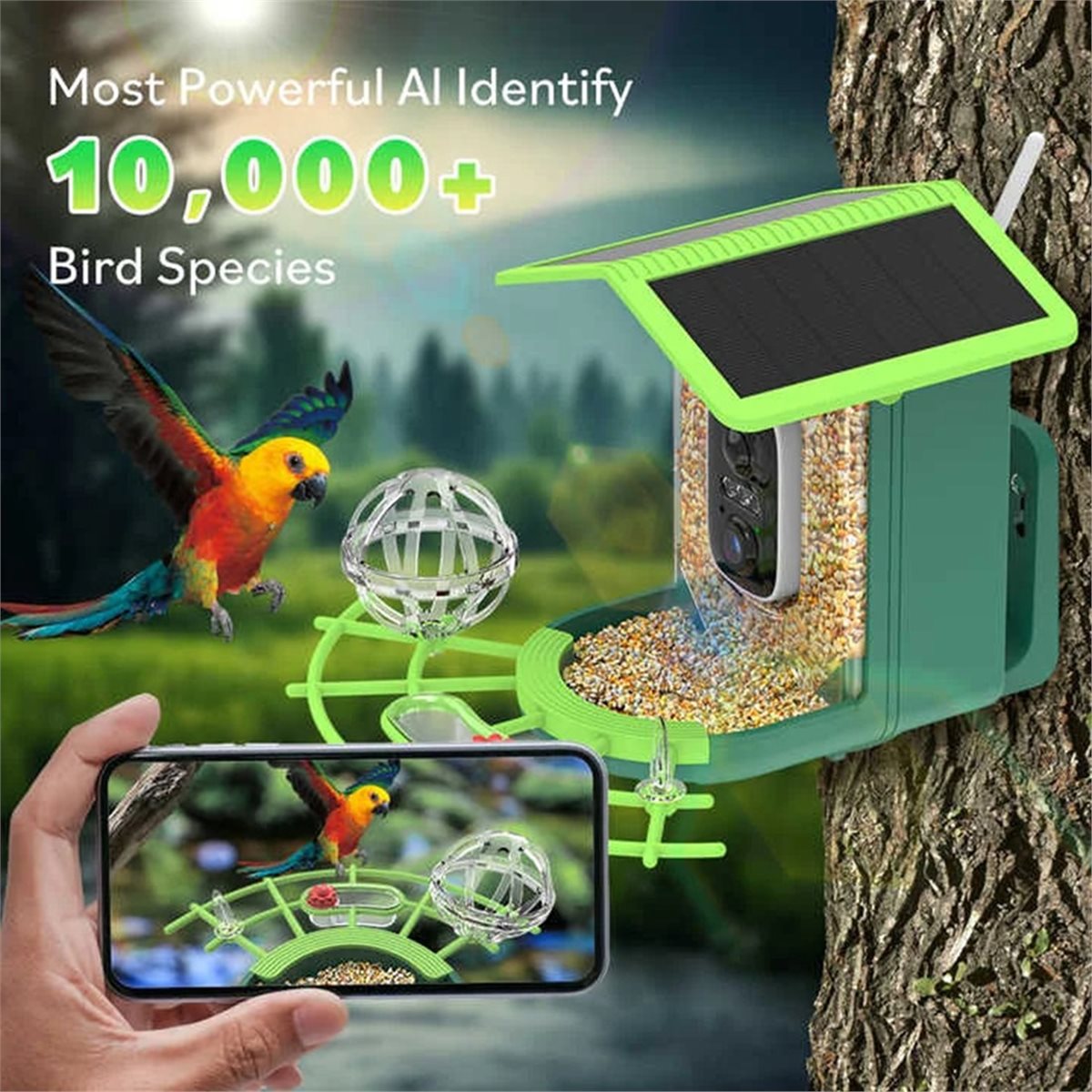 Cámara Inteligente para Pájaro - Power Tools Ai reseña y precio